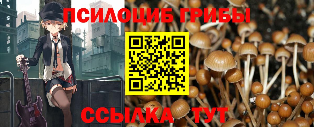 Галлюциногенные грибы Psilocybe Донской